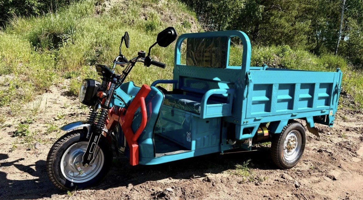 E-TUK Cargo